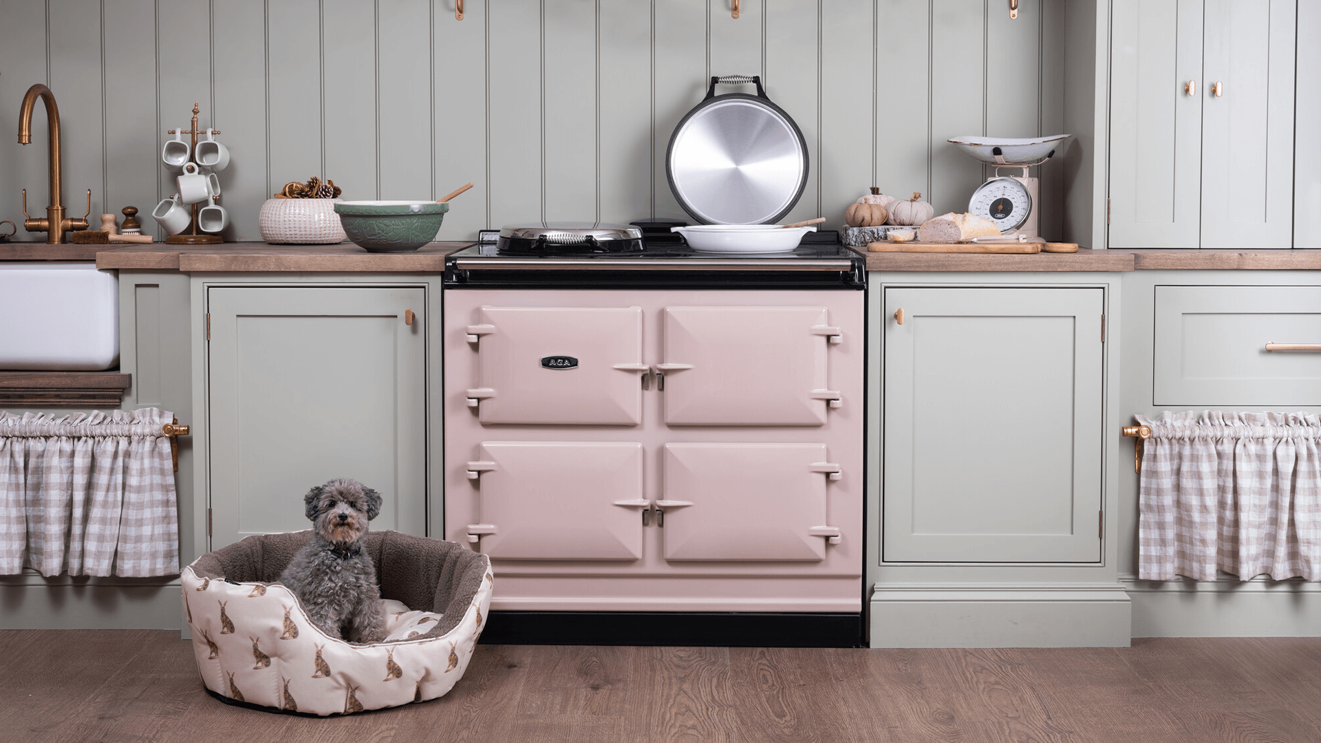 A blush pink aga sits in a country kitchen with light green cabinetry, wooden floors and a grey poodle in it's dog bed, sitting by the cooker.